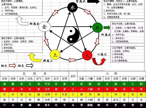 天干十神表|五行、天干地支、十神、藏干……干货知识汇总！